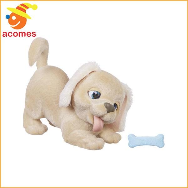 Kidi Pet Watch バーチャルペット ドッグ 犬 レア www.poltekkes-bsi.ac.id