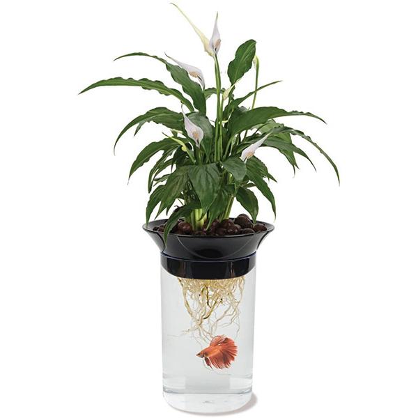 水槽 ベタ インテリアの人気商品 通販 価格比較 価格 Com