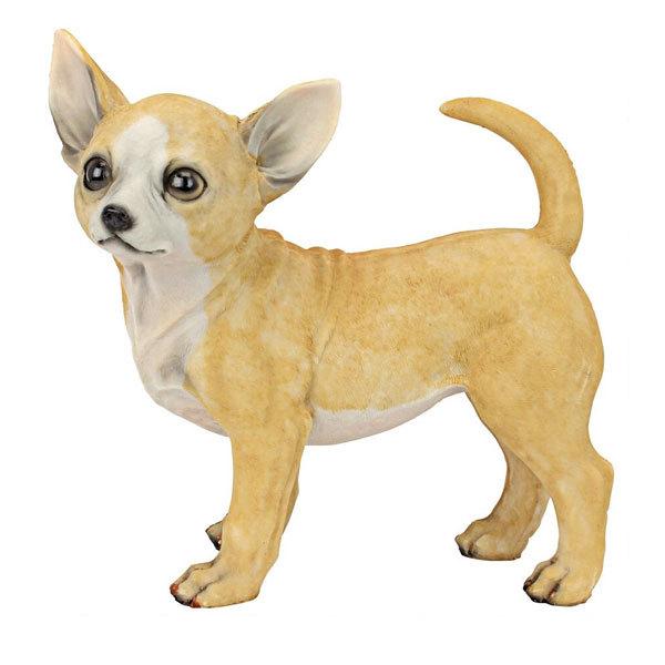 チワワ 像 インテリア 置物 犬 ペット フェルナンド 24cm メキシコ アカムスyahoo 店 通販 Yahoo ショッピング