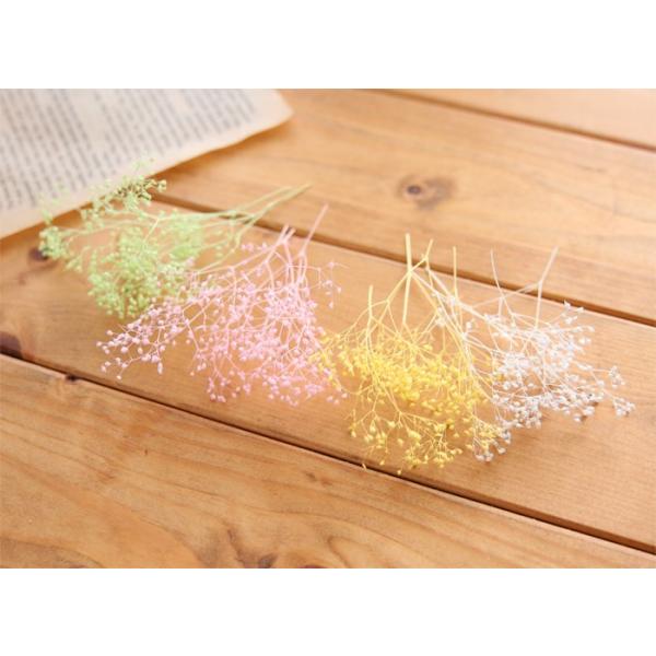 サイズ：1パック※材料の量は写真よりも前後する場合がございます。一つ一つ手作業にてパックにしておりますので、予めご了承ください。素材：プリザーブドフラワーなど備考：※当店のデザインをコピー、流用、転売することは禁じます。あくまで完成イメージ...