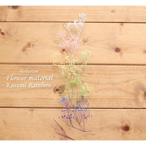 サイズ：1パック※材料の量は写真よりも前後する場合がございます。一つ一つ手作業にてパックにしておりますので、予めご了承ください。素材：プリザーブドフラワーなど備考：※当店のデザインをコピー、流用、転売することは禁じます。あくまで完成イメージ...