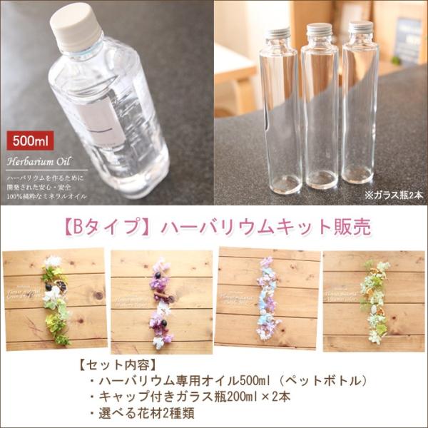 ハーバリウム キット 花材 手作り 【Bタイプ】ハーバリウムお試しキット（オイル1本、ガラス瓶2本、花材セット2種類） 送料無料