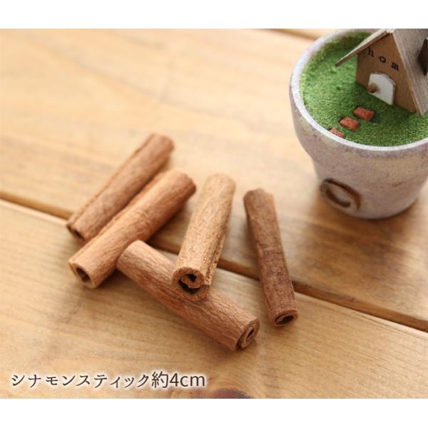 シナモンスティック約4cm（約30本）【大地農園】 : 花ギフト・手作り