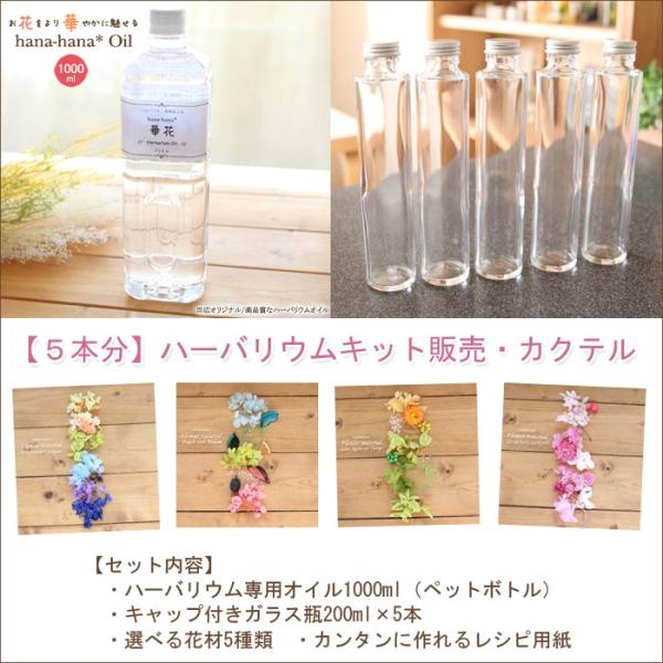 ハーバリウム キット 花材 手作り 【5本分】ハーバリウムお試しキット【カクテル】（オイル1本、ガラス瓶5本、花材セット5種類） 送料無料