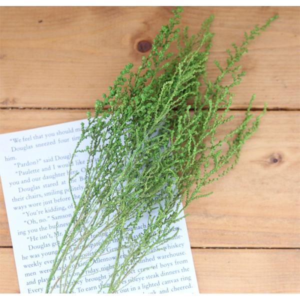 ハーバリウムやフラワーアレンジメントで活躍のグリーン！当店もハーバリウム制作で使用しているグリーンです。少しずつ使う花材です。フラワーアレンジメントでも人気の花材で、ハンドメイド作家さんがよく使用している定番花材です。サイズ：約3枝分※容量...