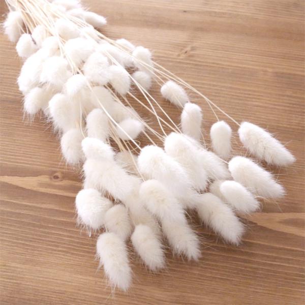 白くて綺麗なドライフラワーのホワイトです。ハーバリウム花材などに◎もちろん、フラワーアレンジメントにもおすすめ！数量限定販売で、入荷はかなり不定期です。お早めにご検討ください。※本数売りではなく、1束約14〜15g販売となります。■サイズ：...