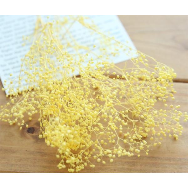 ＜数量限定＞【小分け】OCソフトミニカスミ草（エンジェルイエロー） 花材 ハンドメイド 素材 材料 送料無料 プリザーブドフラワー