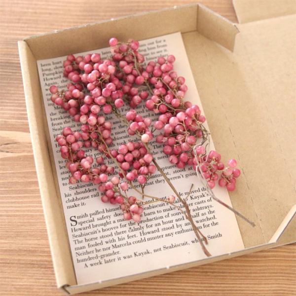 ドライフラワー❣️ナチュラルピンクペッパーベリー 小分け】 ペッパーベリー （ナチュラルピンク） ドライフラワー 小分け