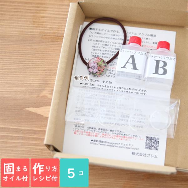 固まるオイル 作り方用紙付き アクリル ドーム型 キット Sサイズ 5点セット ハーバリウム花材のお店acornstyle 通販 Yahoo ショッピング