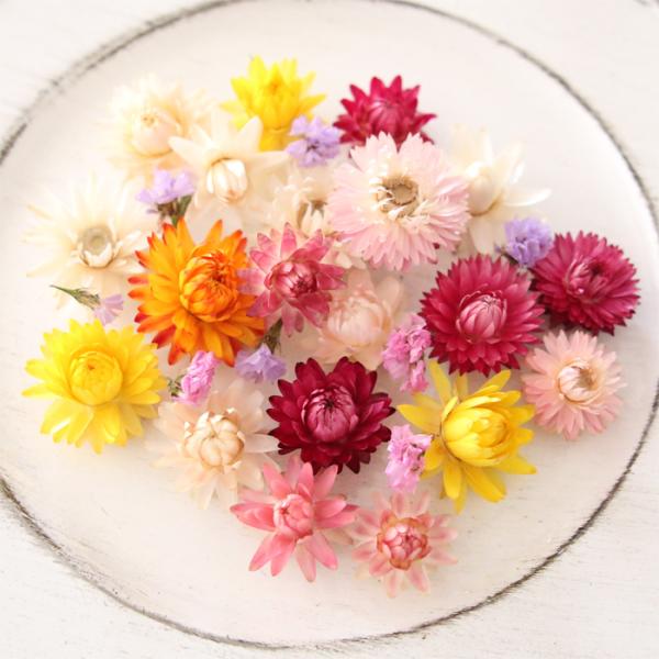ドライフラワー 3種の花材セット 貝細工など おまかせドライフラワー花材セット （3種からお選びください