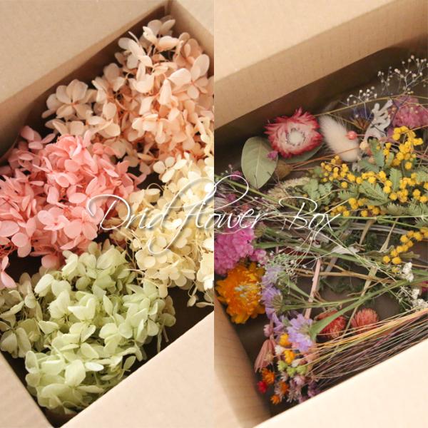 プリザーブドフラワー4色（計約10g）と、様々な種類のドライフラワーヘッド（一部ステム付）が入ったHAPPY BOXです！写真は、とあるハッピーボックスの一例です。本商品は、Sサイズ（50サイズの箱）に下段がドライフラワー、上段がアジサイと...