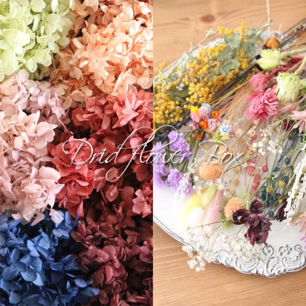 プリザーブドフラワー6色（計約40g）と、様々な種類のドライフラワー（一部ヘッドのみあり）が入ったHAPPY BOXです！写真は、とあるハッピーボックスの一例です。本商品は、Lサイズ（80サイズの箱）に下段がドライフラワー、上段がアジサイと...