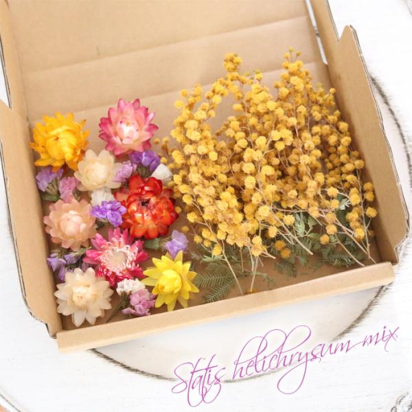 ドライフラワー 詰め合わせ 花材セット MIX （ヘリクリサム＆ミモザ30