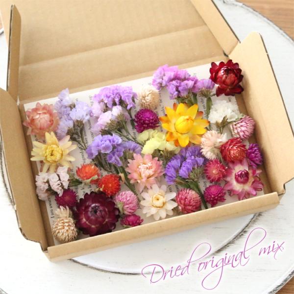 ドライフラワー 詰め合わせ 花材セット MIX （オリジナルD） 花材