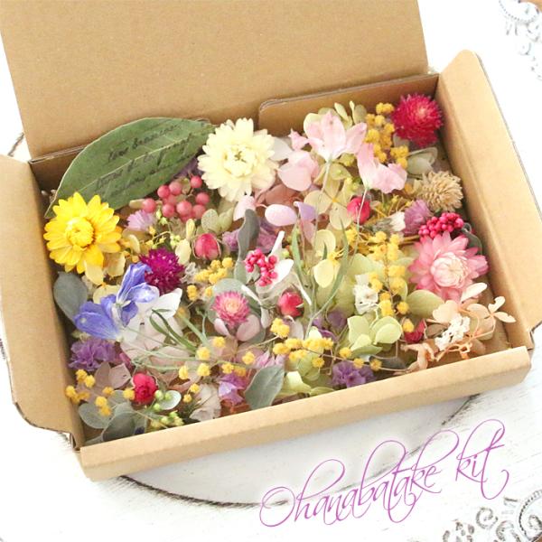 【Flower garden】 花材詰め合わせ キット [ かわいい 花材 ドライ