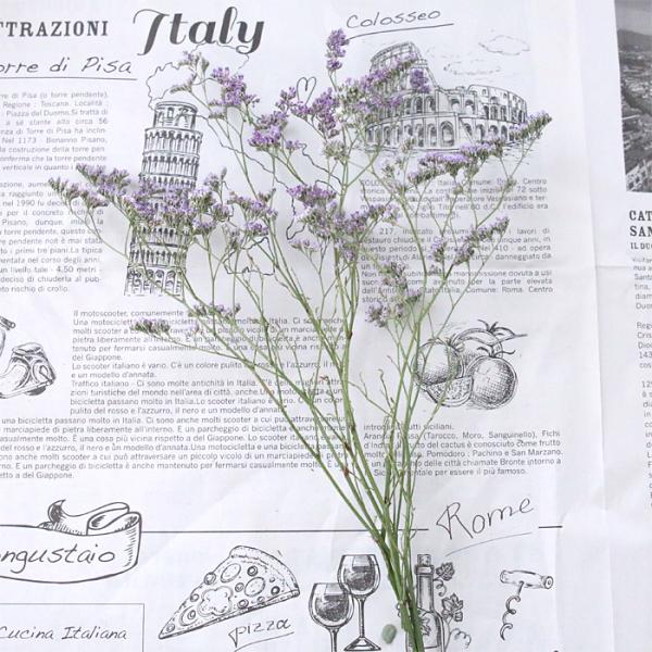 HBスターチス （ラベンダー）【約3本】 ドライフラワー 花材 送料無料