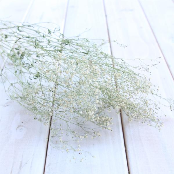 かすみ草 ドライフラワー 白・小粒 （5本） 送料無料 スワッグ ハンドメイド 材料 素材 リース ハーバリウム