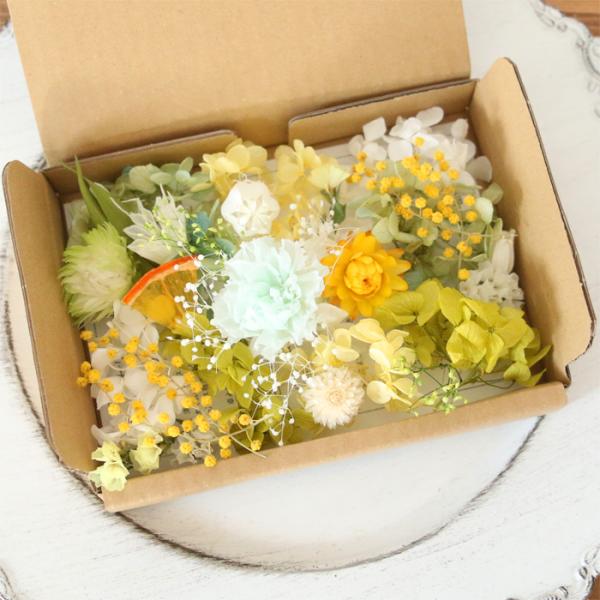 ミントグリーン色のカーネーションを使用した花材キットです。フレッシュ、ビタミンカラーの色合いに仕上げています。ハーバリウム、リース、フラワーボックス、各種フラワーアレンジメントの材料、素材としてどうぞご活用ください。■サイズ：1パック※材料...