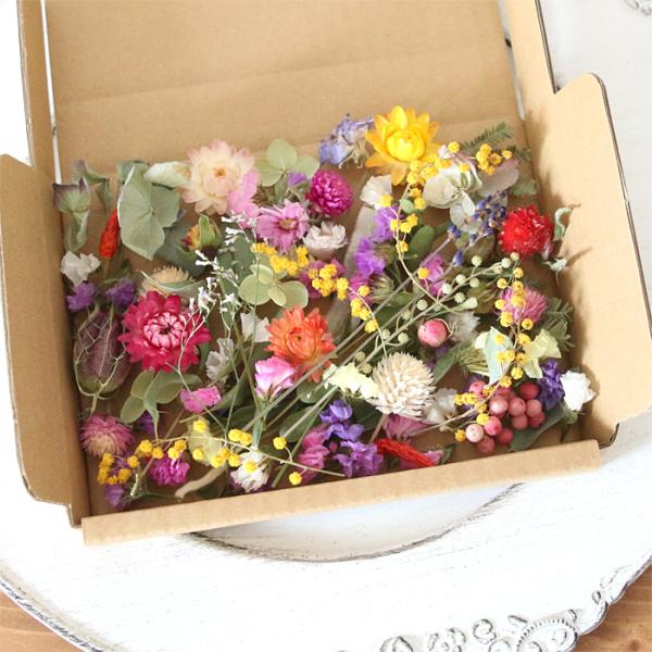 色鮮やかで明るい原色系カラーのドライフラワー 花材セットです。少量の花材をたくさんの種類試せるので、少しずついろんな花材が欲しい方におすすめです。様々なドライフラワーをはがきサイズの箱にたっぷり詰め込みました！紫陽花ユーカリミモザの葉スター...