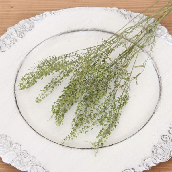 【一点物】★軍配ナズナ&カラーナズナ★ドライフラワー スワッグ 一点物】☆軍配ナズナ&カラーナズナ☆ドライフラワー スワッグ