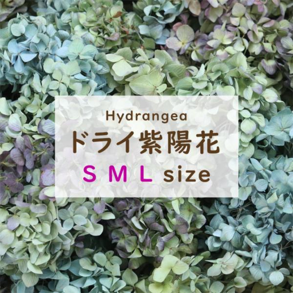 ドライフラワー 紫陽花 ヘッド | 花材 あじさい アジサイ 国産