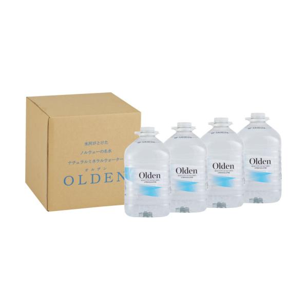 常温ミネラルウォーター ミネラルウォーター 北欧ノルウェーの天然水オルデン 5000ml×4本 Olden