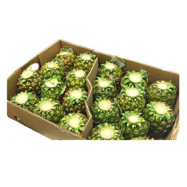 スミフル 業務用 小玉 甘熟王パイン 20玉 約14kg、送料無料（沖縄、離島配送不可）、直送品です。甘さと酸味のバランスがよい甘熟王パイン。処理が面倒な葉がない小玉サイズです。一人で食べきれる小玉サイズの甘熟王パインを20玉お届けします。...