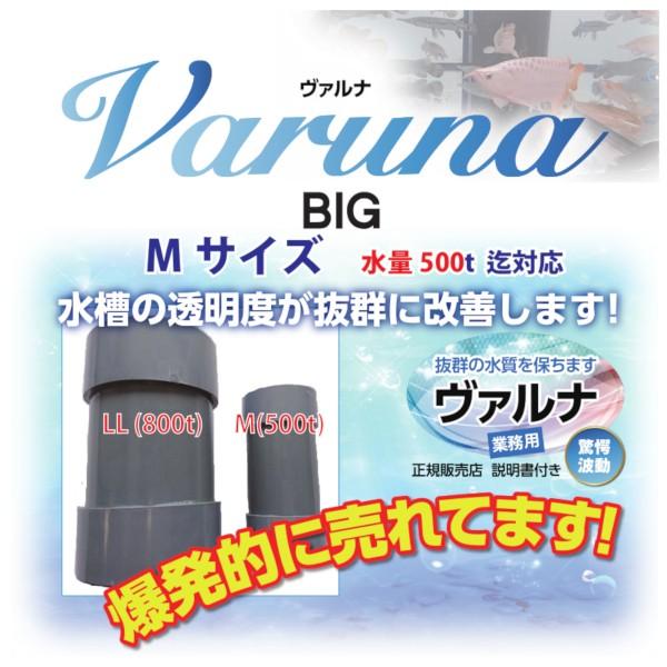 池用ヴァルナMサイズ 500tまで 池の水質浄化 業務用 自宅の池や養殖池