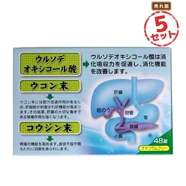 【第3類医薬品】胃腸薬 ロダン胃腸薬S錠(48錠) 5セット 食べ過ぎ 飲み過ぎ 胸やけ 胃もたれ 二日酔 はきけ 食欲不振 食欲減退 胃部膨満感 腹部膨満感 消化不良