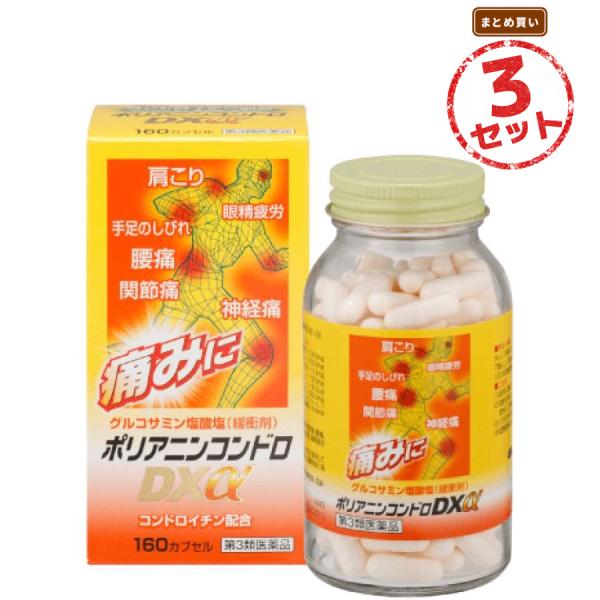 【第3類医薬品】ビタミン製剤 ポリアニンコンドロDX α(160錠) 3セット 便秘 眼精疲労 神経痛 筋肉痛 関節痛 腰痛 肩こり 五十肩 手足のしびれ 脚気 肉体疲労時