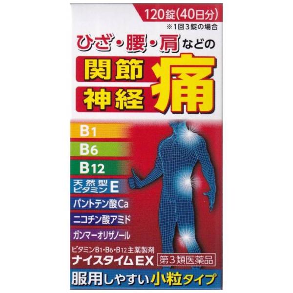 【第3類医薬品】ビタミン製剤 ナイスタイムEX(120錠) 眼精疲労 慢性的な目の疲れ 目のかすみ 目の奥の痛み 筋肉痛 関節痛 肩痛 腰痛 肘痛 膝痛 肩こり 五十肩