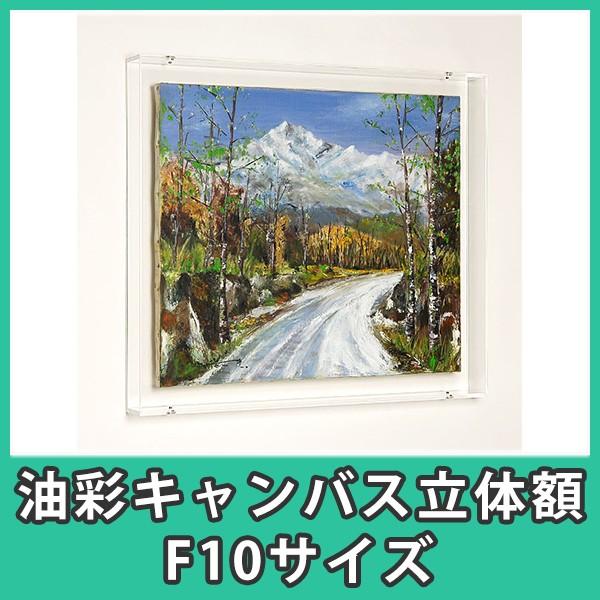 油彩キャンバス  額縁 壁掛け ケース ボックス 箱型 奥行 絵画 油絵