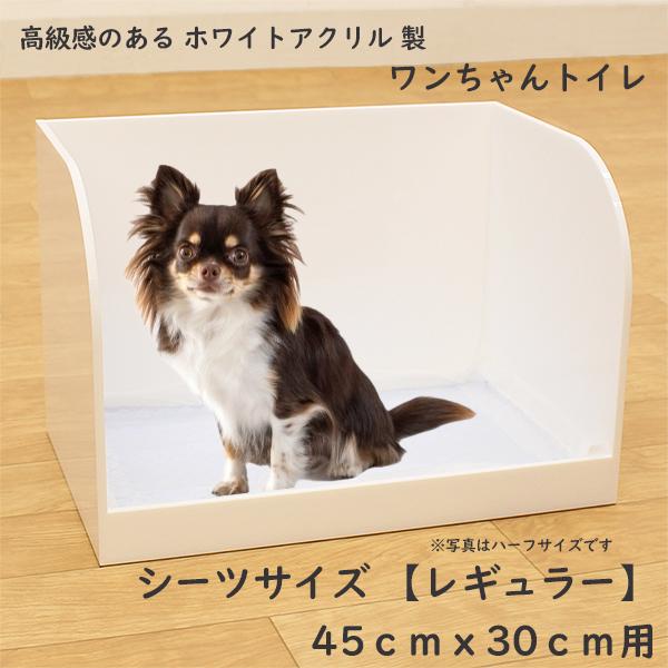 犬トイレ⭐︎アクリ屋 犬トイレ | アクリ屋ドットコム