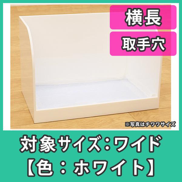 p ybgp gC g[ F 􂦂  g[jO lC  ChTCY 茊  zCg Ǖt 