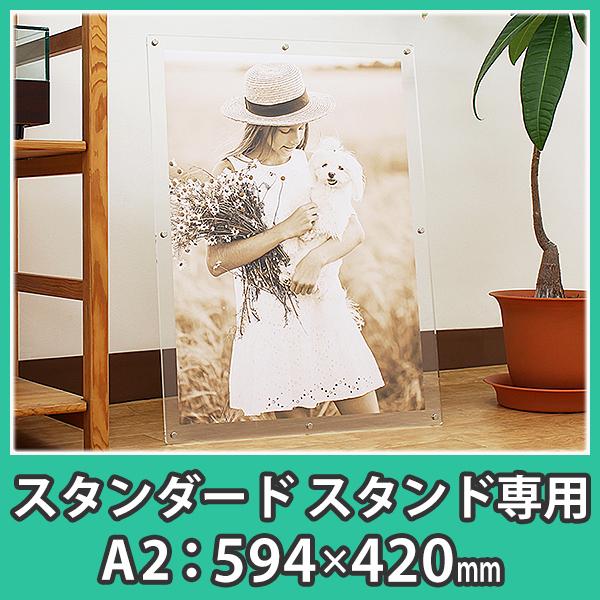 |X^[t[ A2 X^h^Cv  z ANw|X^[t[ X^_[h X^hpA2TCYx