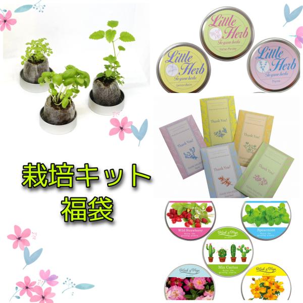 栽培セット 栽培キット 福袋 おうち時間 家庭菜園 : ACT.SHOP - 通販