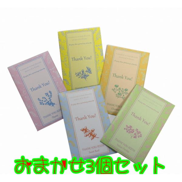 マリーゴールドの花種、業務用100g＋選べる粗品をプレゼント