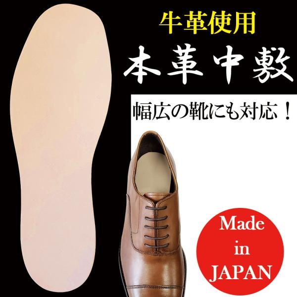 木原産業 インソール 本革 中敷き 消臭 足ムレ 蒸れ対策 足の臭い対策