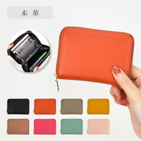 YfCY LIZDAYS J[hP[X {v U[h  |CgJ[h RpNg fB[X ʋ ʊw s l w }}   uh 20 30