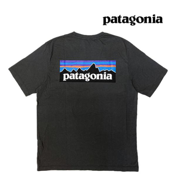 パタゴニア 91年Logo T-shirt 生態系 L patagonia（パタゴニア） P-6 ロゴ Tシャツ P-6 LOGO T-SHIRT INBK INK