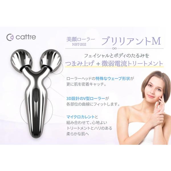 美容ローラー ブリリアントV　NBT-201 人気美顔器 美顔ローラー