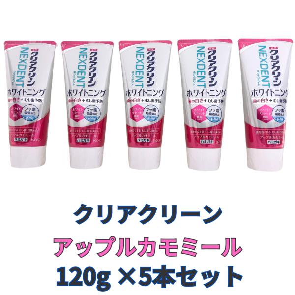 activitystore_1313_1_d_20240918131233