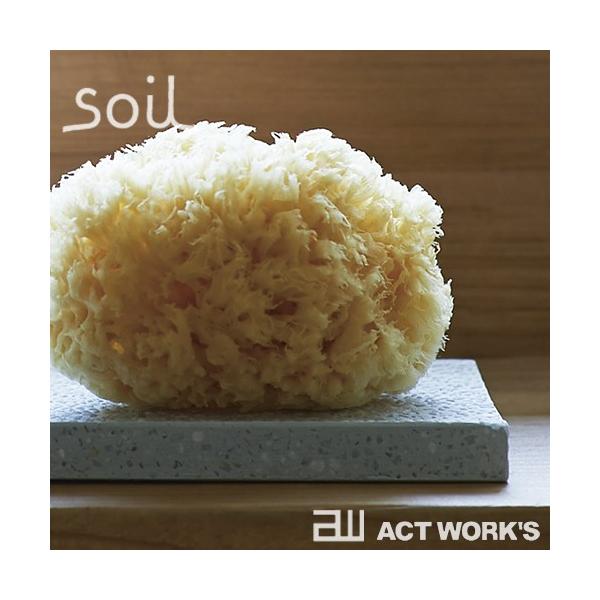 soil X|WgC \C X|Wg[ ]y z z  Γ CXM