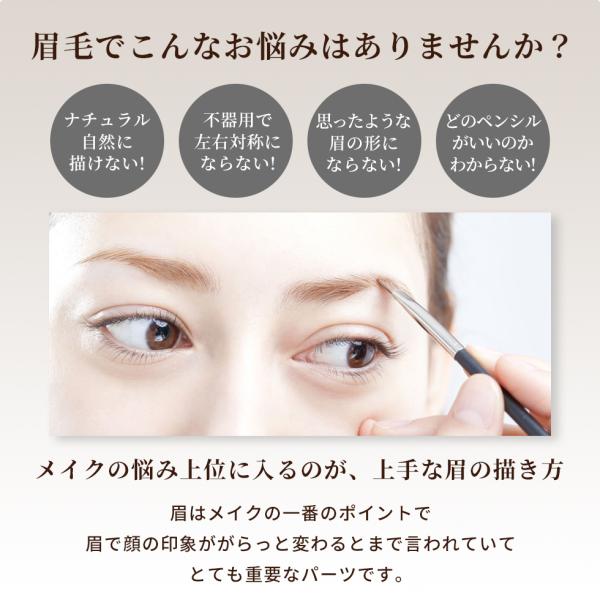 3way アイブロウ ペンシル パウダー アイブロー 眉 眉毛 ピコモンテ メール便送料無料 Buyee Buyee Japanese Proxy Service Buy From Japan Bot Online