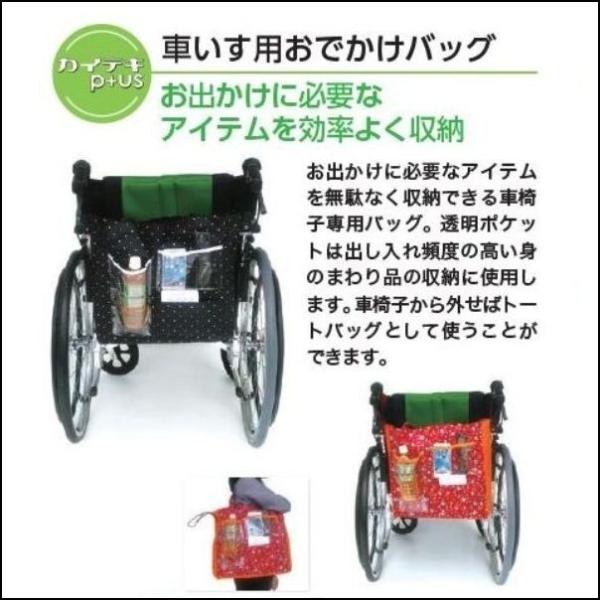 TMTJ Ԉ֎q (ԃCX)płobO /BKhbgi76023j