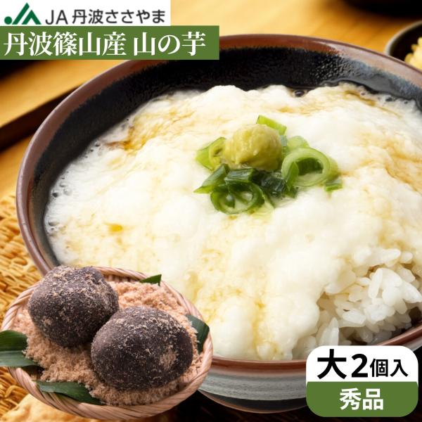 ★美味しい食べ方★すりおろして醤油をかけてとろろごはんに、お好み焼きに。お吸い物、てんぷらに・・・。おいしい食べ方のレシピ付き！商品情報名称 令和7年度産　丹波篠山産　山の芋内容量 ２個入り(約600ｇ前後)保存方法 着後、冷蔵庫で保存して...