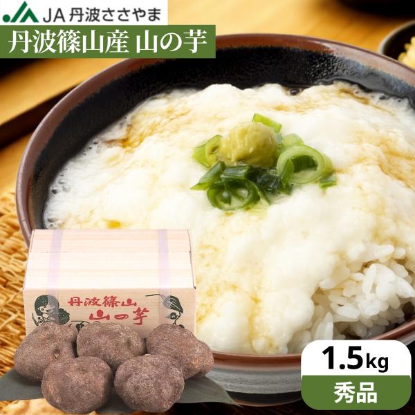 ★美味しい食べ方★すりおろして醤油をかけてとろろごはんに、お好み焼きに。お吸い物、てんぷらに・・・。おいしい食べ方のレシピ付き！商品情報名称 令和7年度産　丹波篠山産　山の芋内容量 約1.5kg保存方法 着後、冷蔵庫で保存してください。賞味...