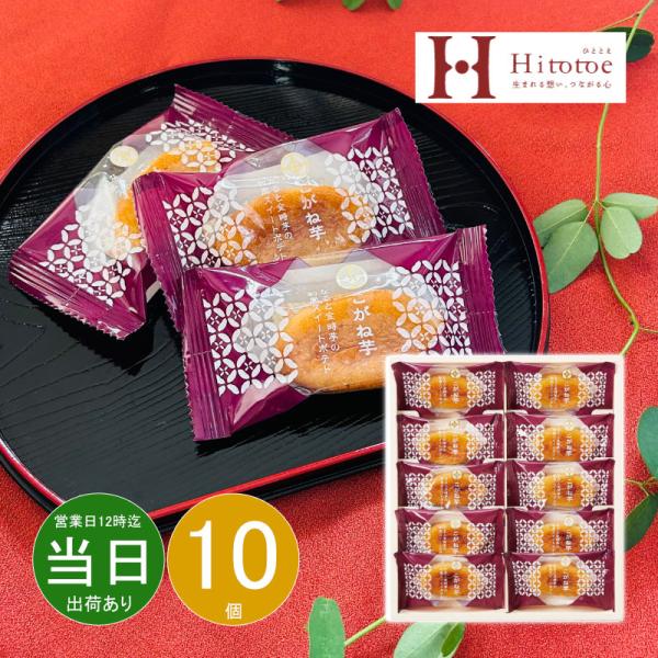 【商品名】 こがね芋 【内容】こがね芋×10 【箱サイズ】27.2×23.5×4.2cm 【賞味期限】常温4ヶ月 (表示期限の半分以上) 【アレルゲン】卵・乳・小麦 【商品について】なると金時芋を使い、しっとりと焼き上げた和風スイートポテト...