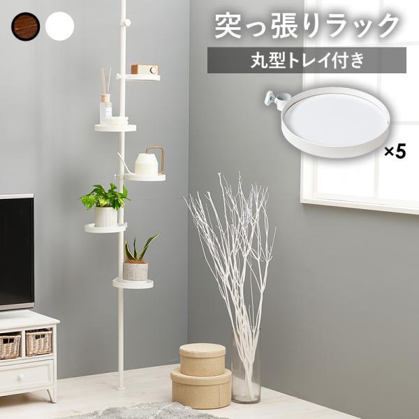萩原 突っ張りラック KTR-3116 幅43cm 丸型トレイ 魅せる収納