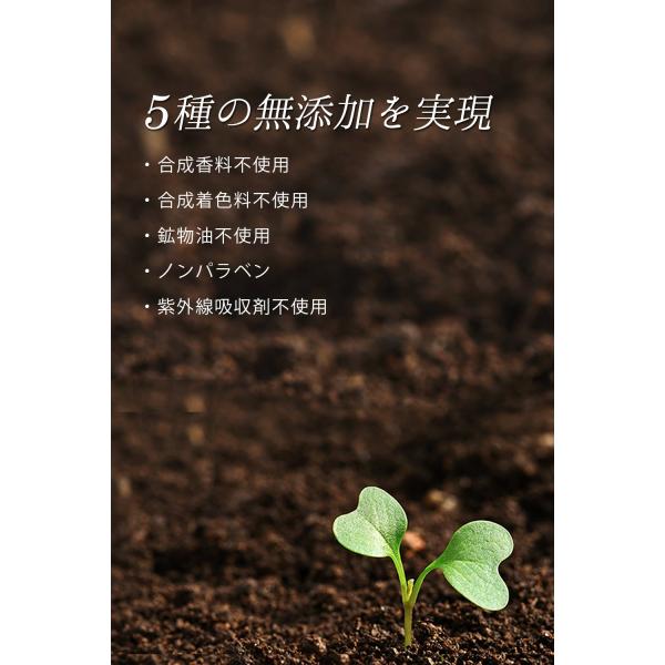 化粧下地 毛穴カバー Spf50 下地 メイクベース ベース 毛穴 皮脂 化粧崩れ 防止 紫外線対策 オルナ オーガニック 25g Buyee Buyee Japanese Proxy Service Buy From Japan Bot Online